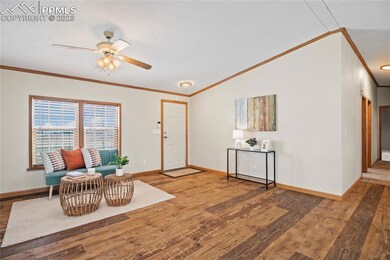 All new flooring LVP