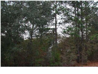 5756 BB woods