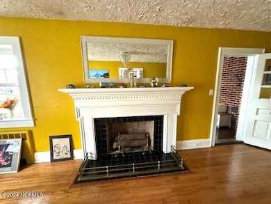 Living Room Fireplace