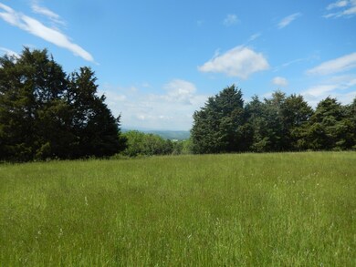 Property goes beyond treeline