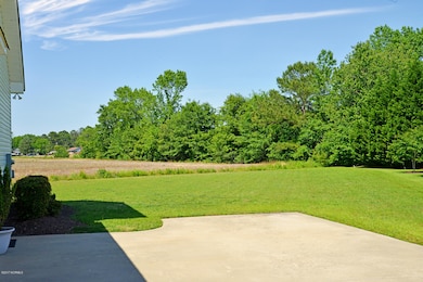 1000 Barr Ct, Greenville, NC 27834 - photo 3