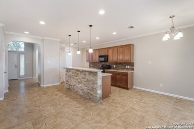 3727 Pinyon Pine, San Antonio, TX 78261 - photo 4
