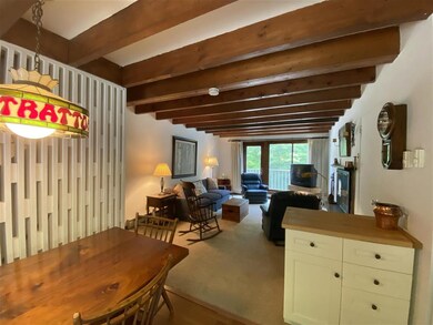 2 Birch Hill Rd, Winhall, VT 05340 - photo 6