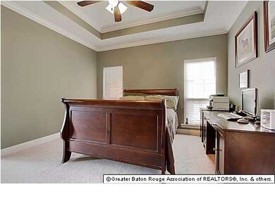 Master Bedroom with tray ceiling