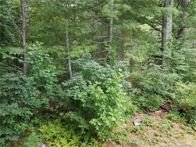 0 Dale Earnhardt Dr unit 3313928, Burnsville, NC 28714 - photo 5