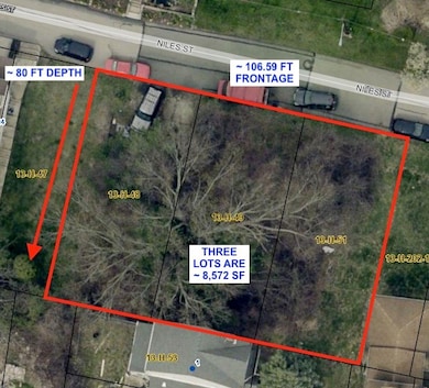 Niles St: 3-Contiguous Lots