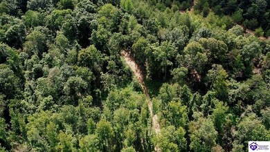 Tract 1 Cook Ln, Cromwell, KY 42733 - photo 4