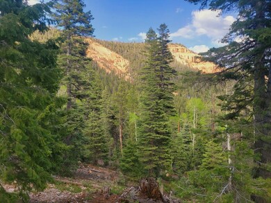 View off Lot
