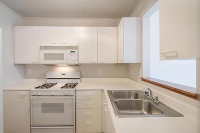 Kitchen view 1