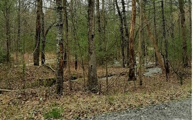 LT 10 Peter Knob Rd, Blue Ridge, GA 30513 - photo 2