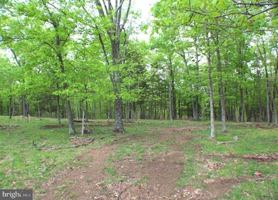 8.05 Acres Morgantown Rd, Maysville, WV 26833 - photo 7