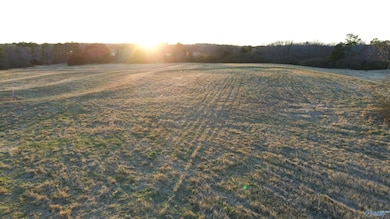 4.51 Ester Rd, Grant, AL 35747 - photo 4