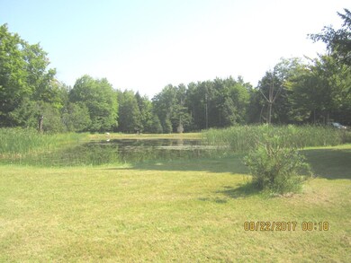 Pond