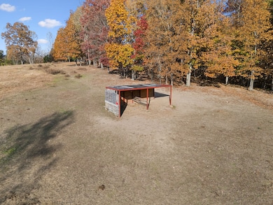 3917 Mobley's Cut Rd, Franklin, TN 37064 - photo 4