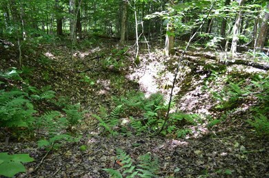 00 Spaulding Rd, Plymouth, VT 05056 - photo 7