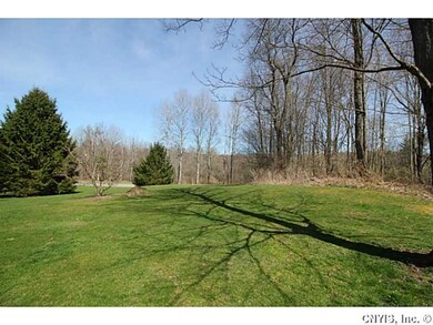 Backyard. 5 plus acres
