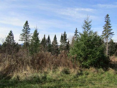 858 Diamond Pond Rd, Stewartstown, NH 03576 - photo 2