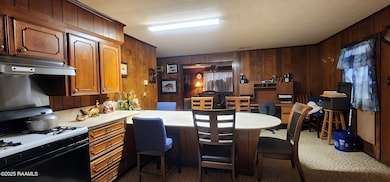 12207 Louisiana 339, Erath, LA 70533 - photo 6