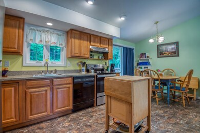 24 Birch Tree Ln, Center Ossipee, NH 03814 - photo 7