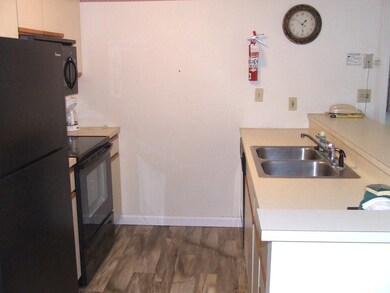 164 Deer Park Dr unit 163A, Woodstock, NH 03262 - photo 6