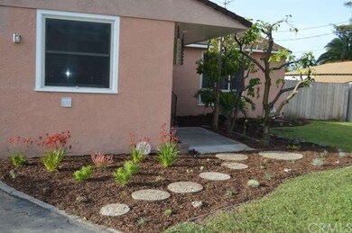 Succulent garden with newly installed drip system