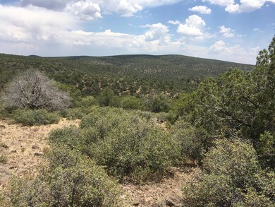 5322 N Kit Fox Trail unit 235, Kingman, AZ 86401 - photo 2