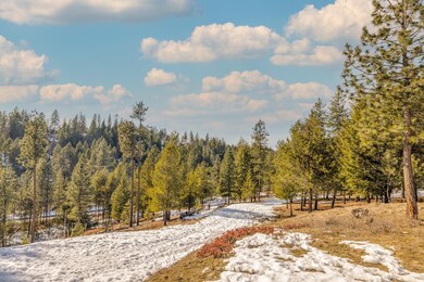 25815 N Perry Cir, Chattaroy, WA 99003 - photo 3