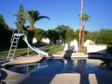 BACK YARD