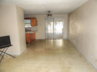 2605 N Oleander Ave, Daytona Beach, FL 32118 - photo 6