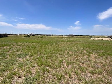 View of yard with a rural view