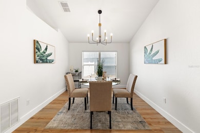 11112 Goldenrod Fern Dr, Riverview, FL 33569 - photo 6