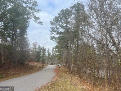 0 Sunshine Dr unit 10654666, Sparta, GA 31087 - photo 4