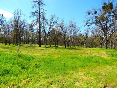 5758 Gebhard Rd, Central Point, OR 97502 - photo 3