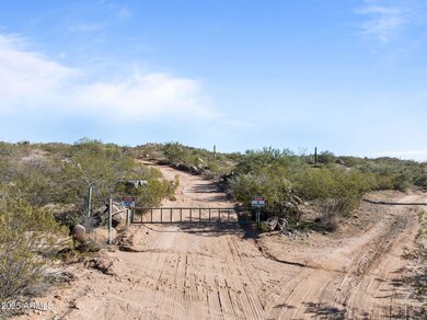 XX1 W Monarch Trail, Wickenburg, AZ 85390 - photo 2