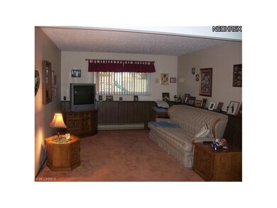 Lower level family room