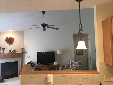 View from the kitchen sink to the vaulted Great Ro