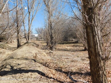 NYA Rowe Ave, Farmington, NM 87402 - photo 6