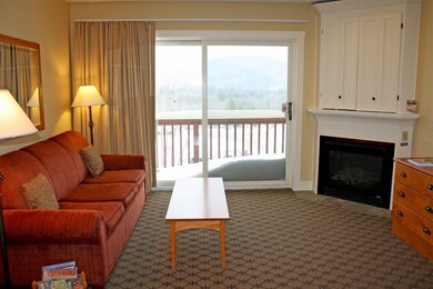 274/276 Qtr I Jackson Gore Inn, Ludlow, VT 05149 - photo 5