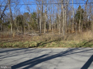 0 John Brown Farm Rd unit WVJF141852, Harpers Ferry, WV 25425 - photo 4