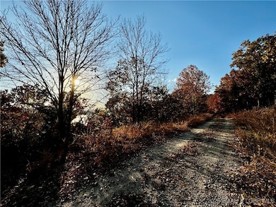 lot 17 Lake Horizons Rd, Gravois Mills, MO 65037 - photo 4