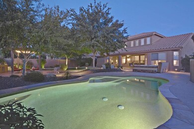 Backyard Oasis