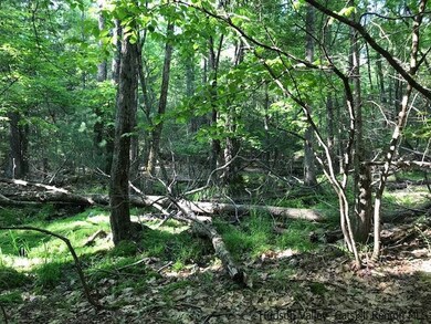 611 Buck Rd, Stone Ridge, NY 12484 - photo 6