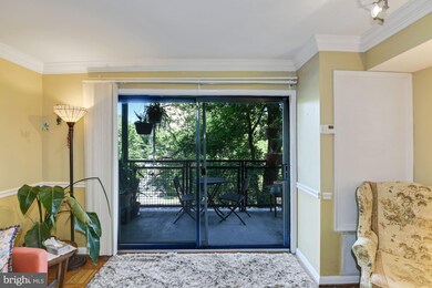 Takoma Phoenix unit 302, Takoma Park, MD 20912 - photo 6