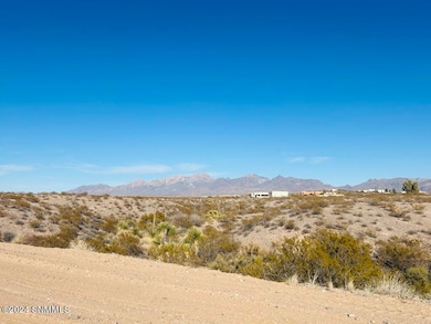 4374 Rc Gorman Loop, Las Cruces, NM 88011 - photo 7