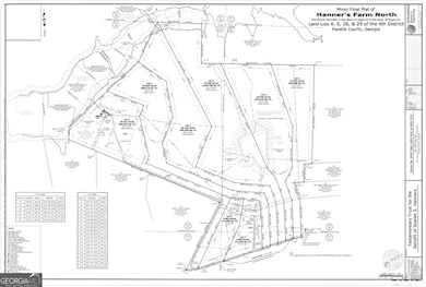 LOT 3 Mask Road - Hanner's Farm N, Brooks, GA 30205 - photo 6