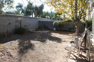 Backyard 1