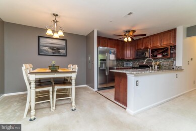 400 Plumbridge Ct unit 202, Lutherville Timonium, MD 21093 - photo 7