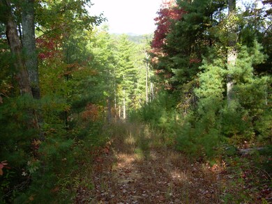2225 Chilhowee Loop Road