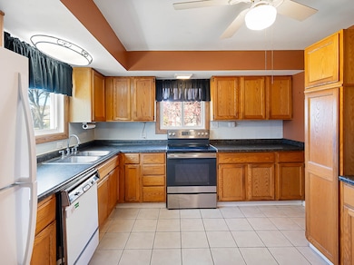 199 S Linden Ave, Elmhurst, IL 60126 - photo 6