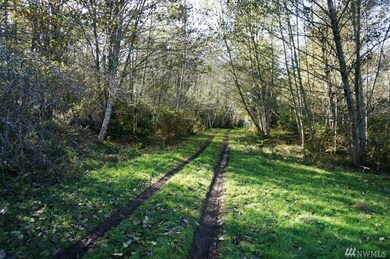 13417 94th St unit AI, Anderson Island, WA 98303 - photo 6